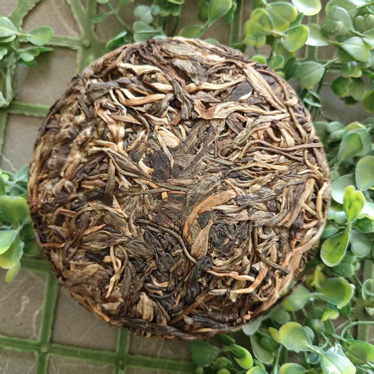 雨腾妹夫  全T“Q10”菩提M树100g/饼 生茶 (7月16）