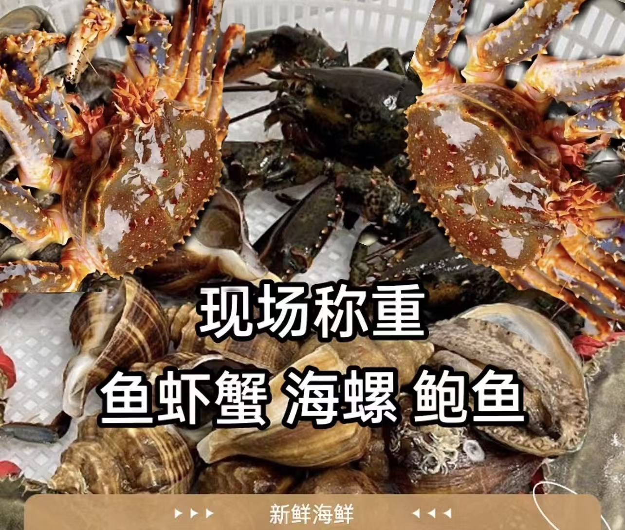 断氧福利 鱼虾蟹 听清在拍 介意勿拍