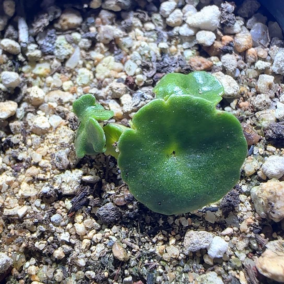 哈哈哈哈哈哈哈55501