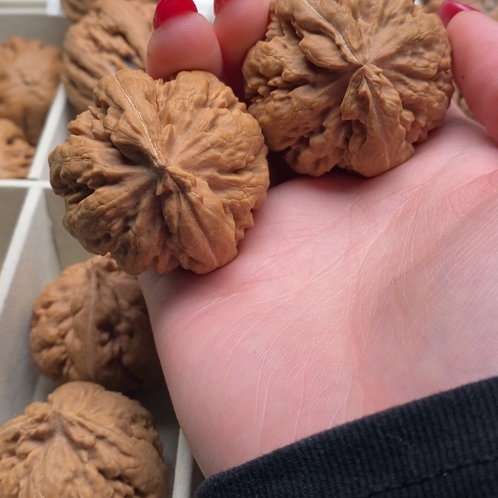 S***。文玩核桃把件霸王龙