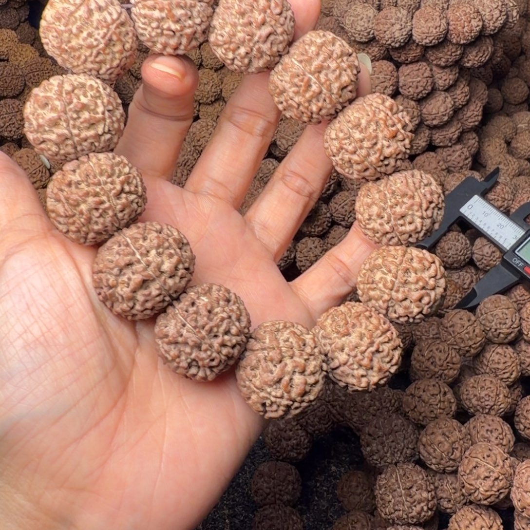 手串金刚菩提8瓣卡24尺，71号