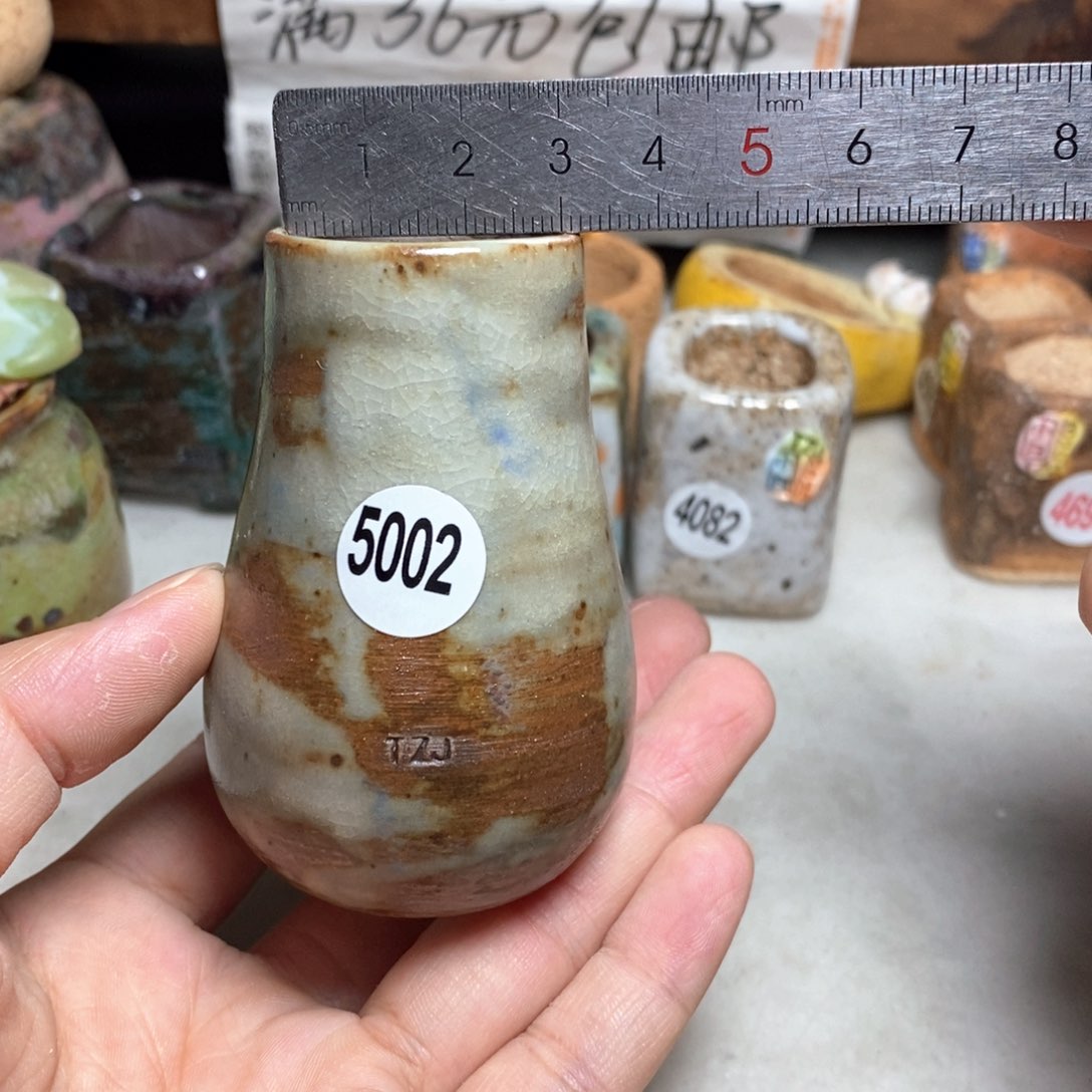 拍5送一个小礼物