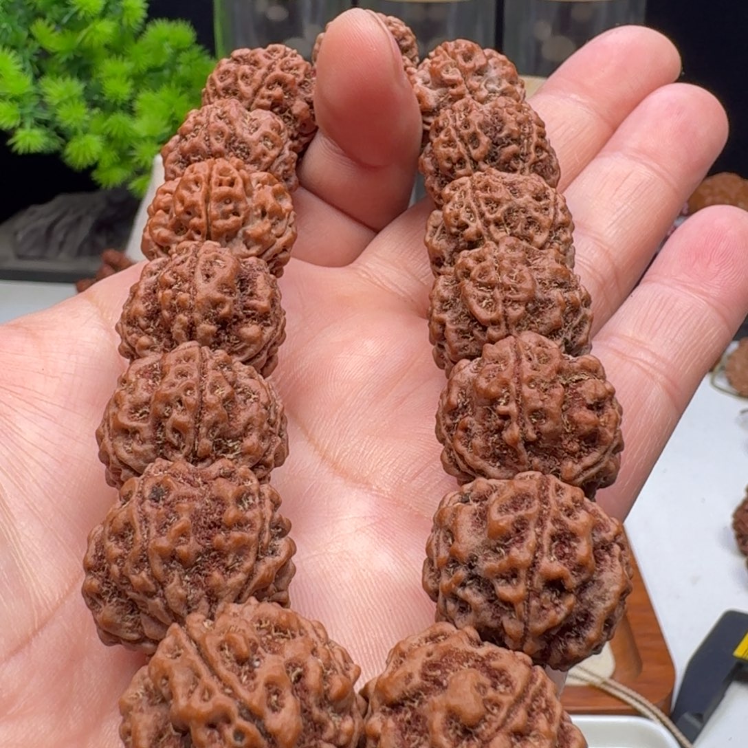 手串金刚菩提蜂窝双龙