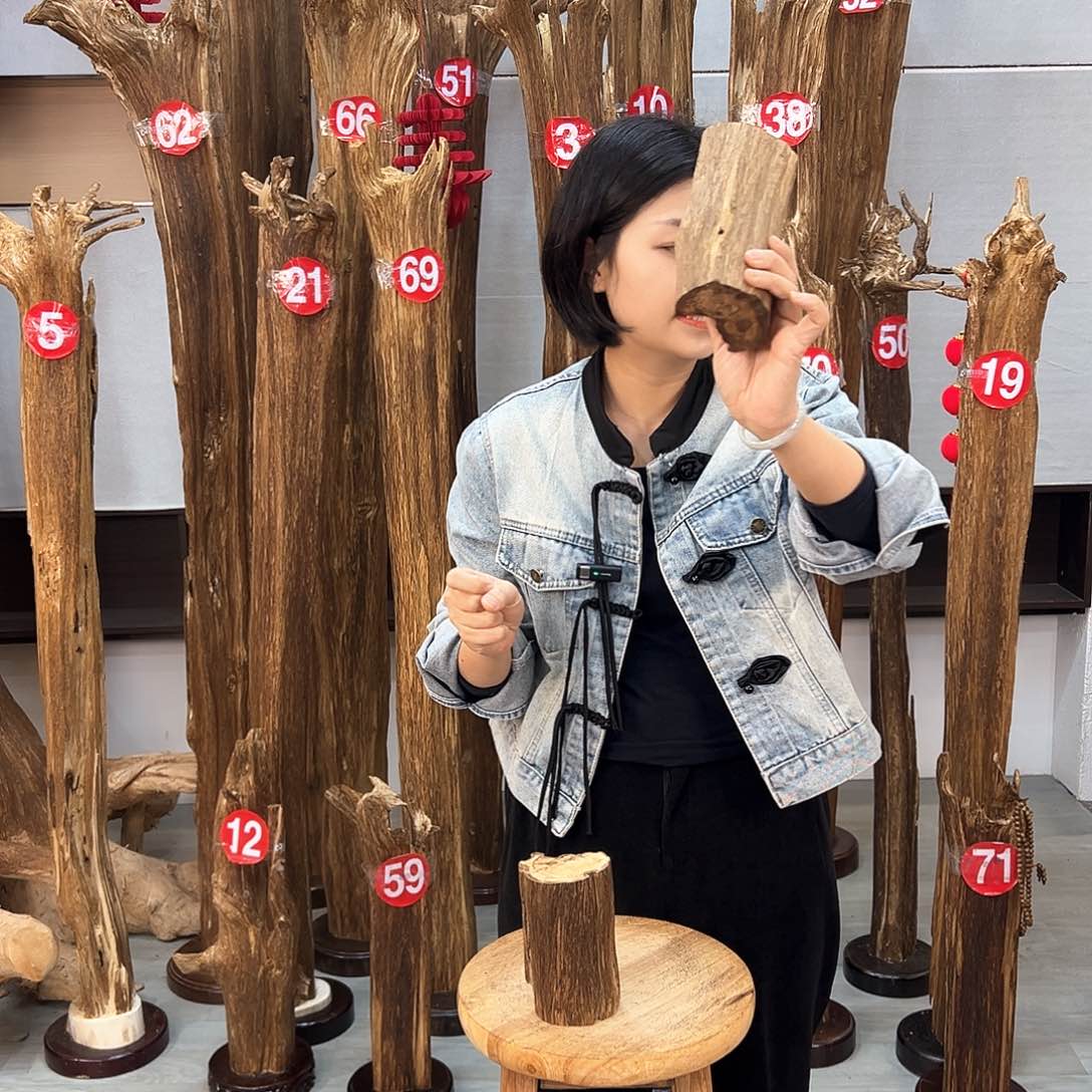 沉香摆件海南沉香摆件