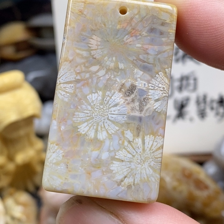 硅化珊瑚（珊瑚玉）未镶嵌颈饰