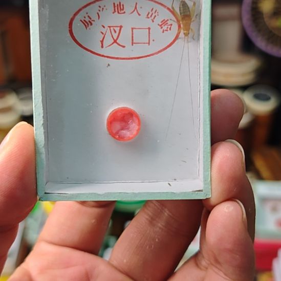 张***池烈焰仙子一条包邮