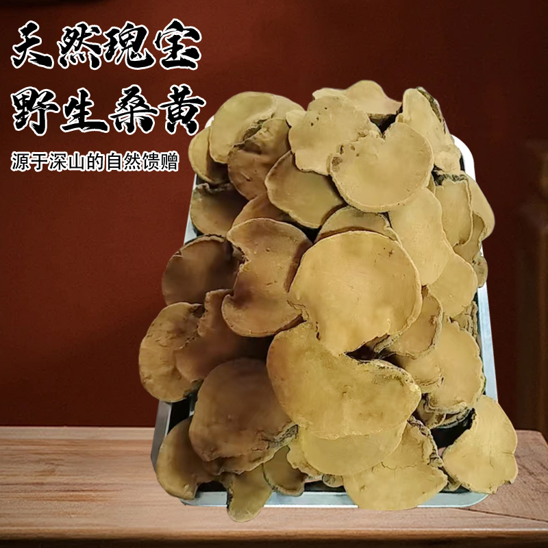 西藏野生桑黄正品桑树桑黄纯天然金边桑黄桑黄磨粉冲水