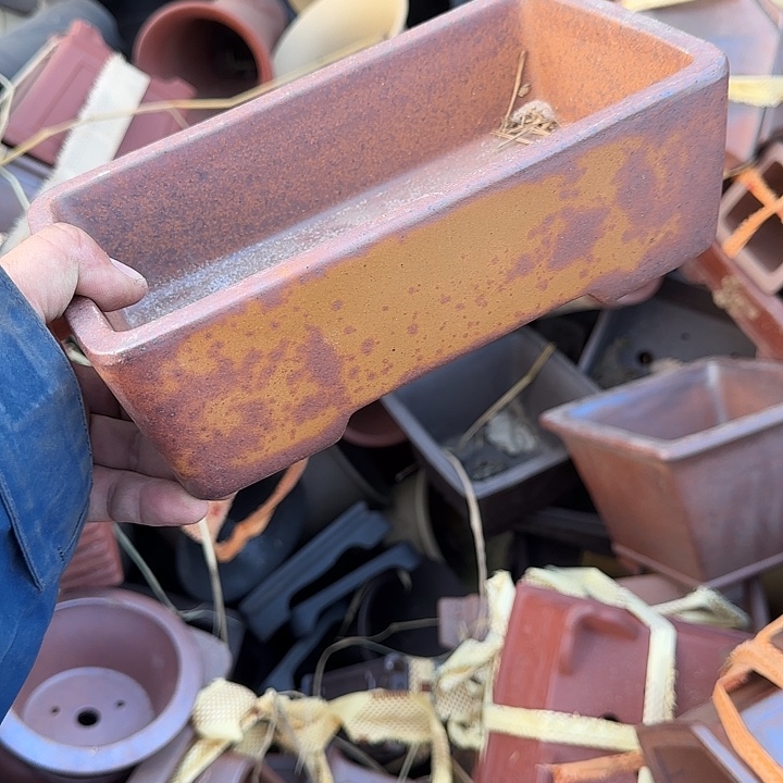 你说是谁就让我们等的你呢亲爱勒