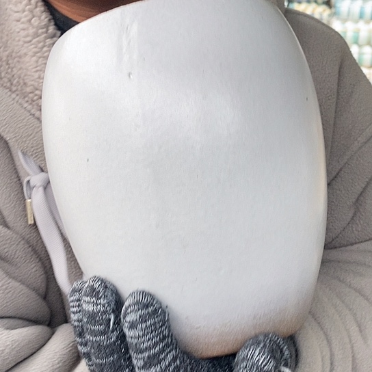 瑕疵颜色不挑瑕疵