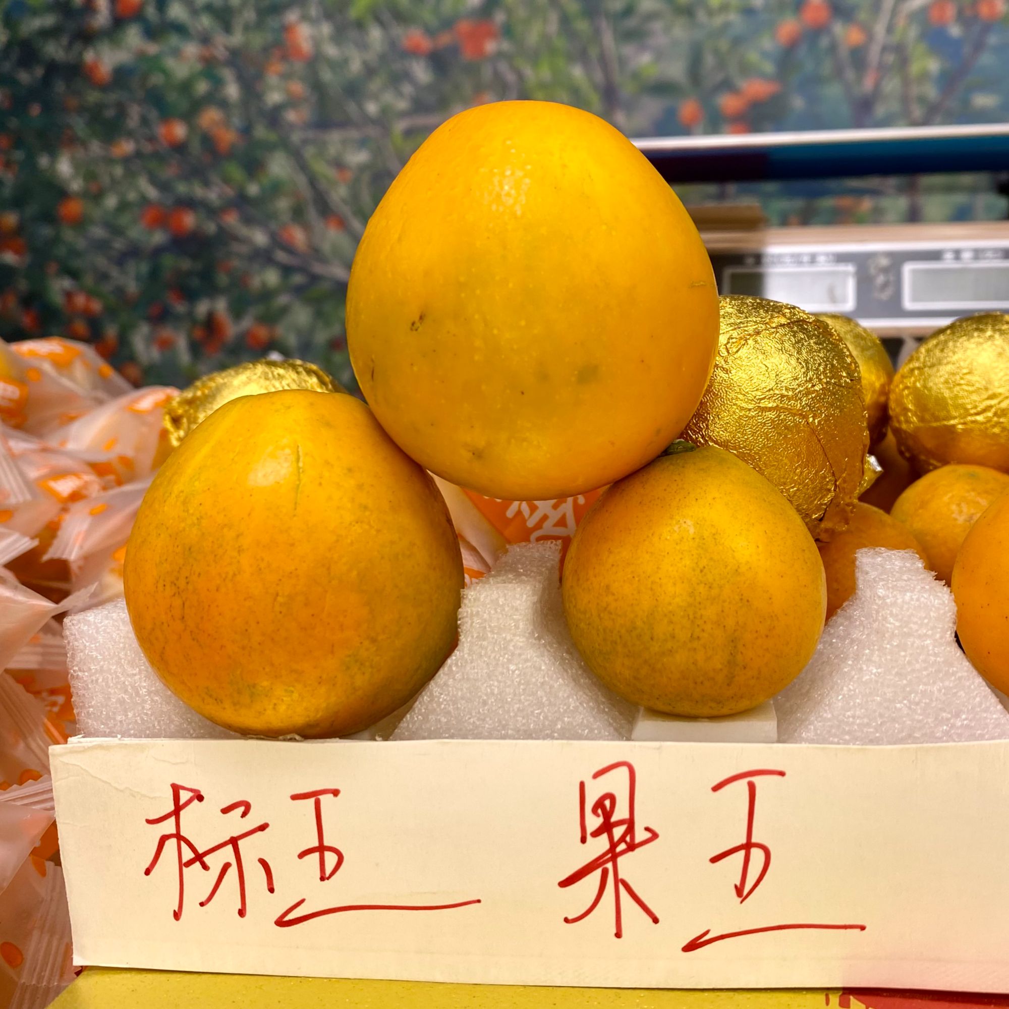 脆蜜金桔金柑巨无霸精选品质好吃产地源头纯甜无酸