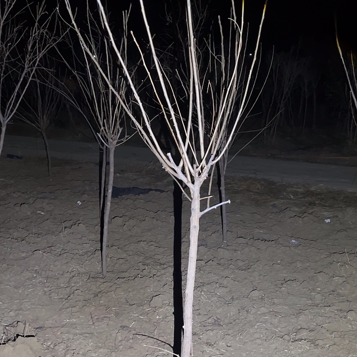 完全开放一物一拍