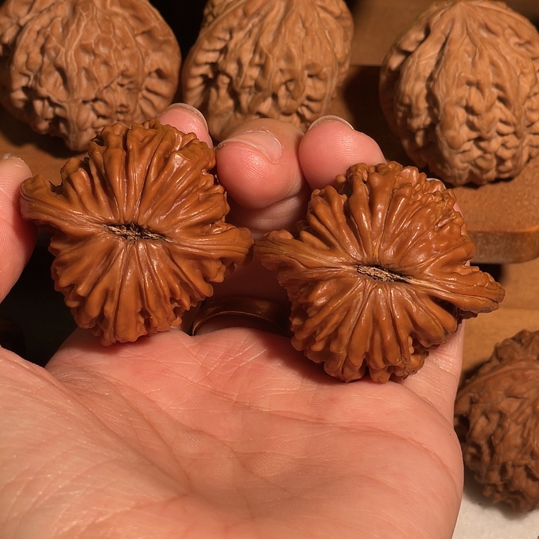 L****文玩核桃吊坠42楼包容