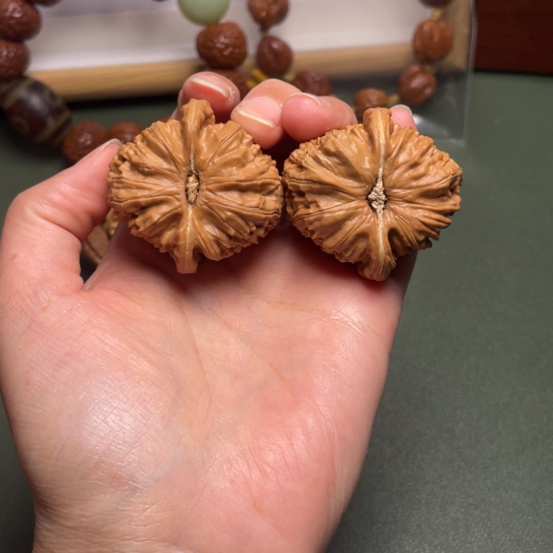 文玩核桃吊坠白狮子38+尺