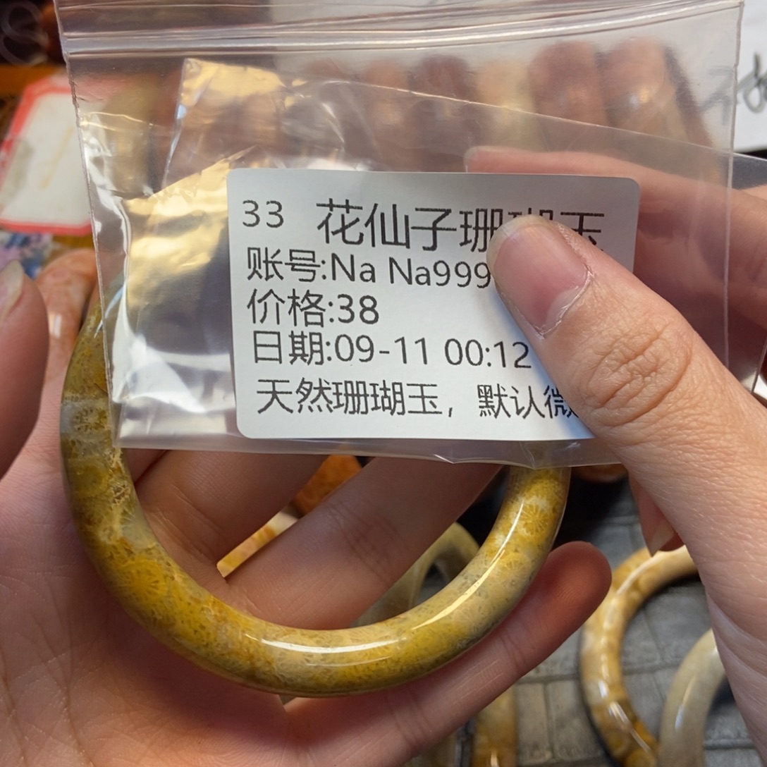 N***9未镶嵌硅化珊瑚（珊瑚玉）珠宝半成品33