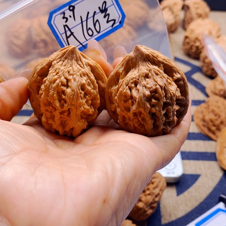 把件文玩核桃大沽石