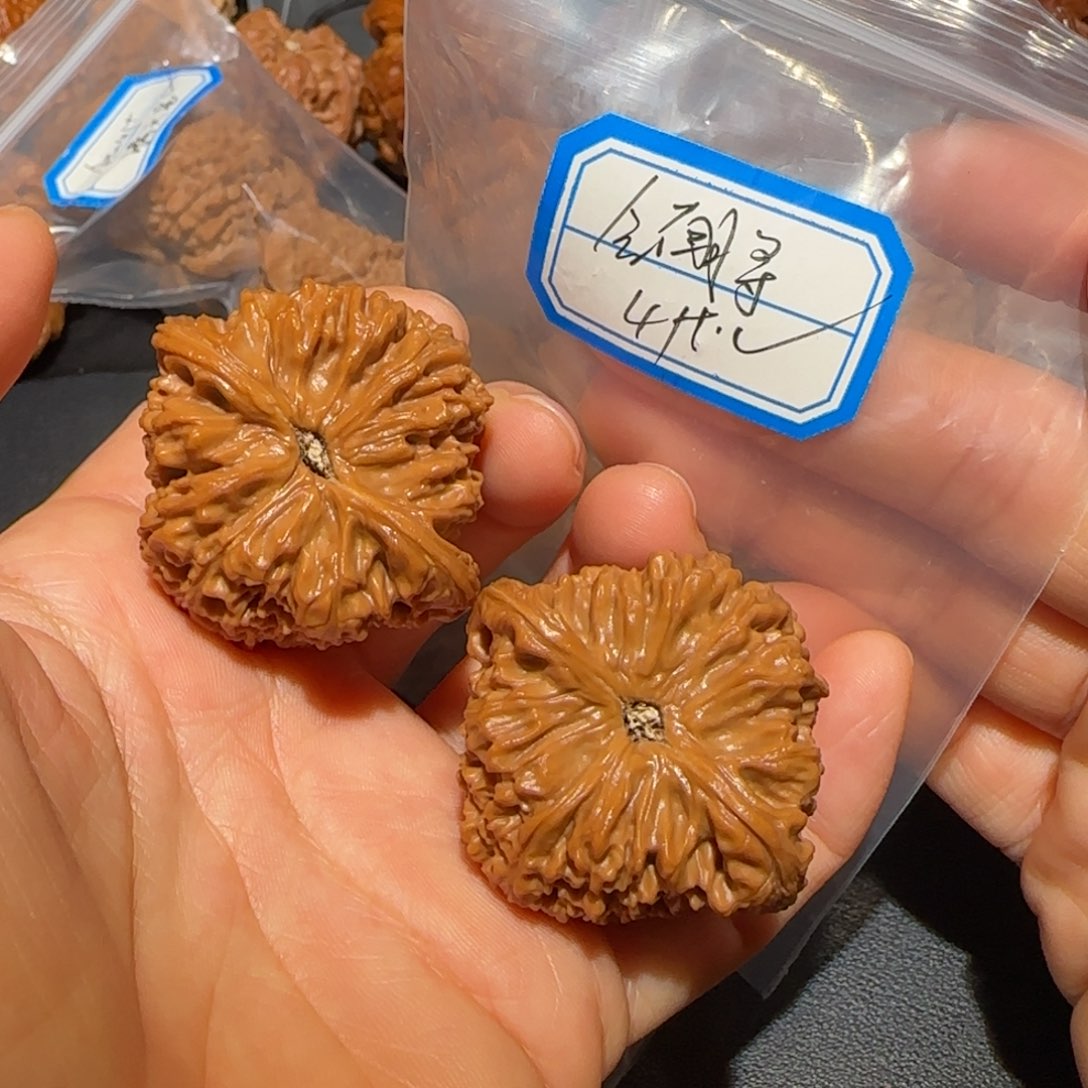 文玩核桃把件飞飞飞飞飞飞分
