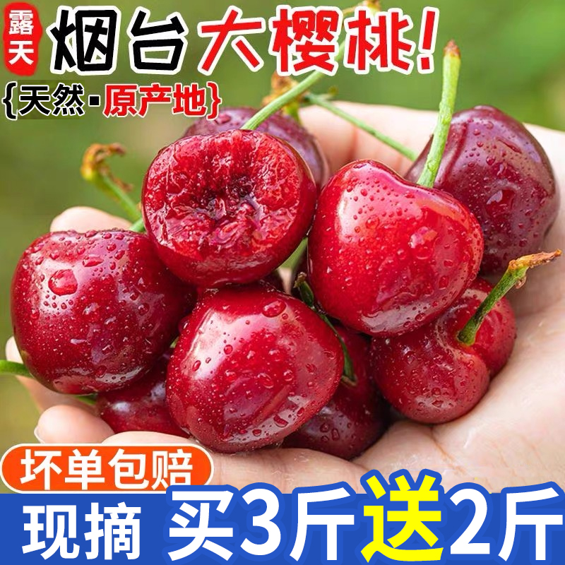【航空冷链】烟台大樱桃酸甜拉宾斯新鲜水果车厘子山东应季批发