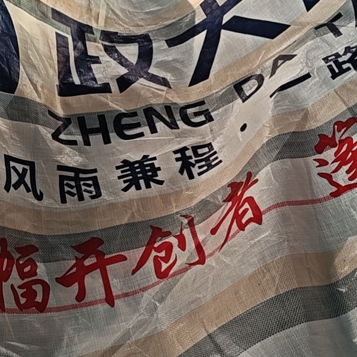 绒质66666666666666666666666