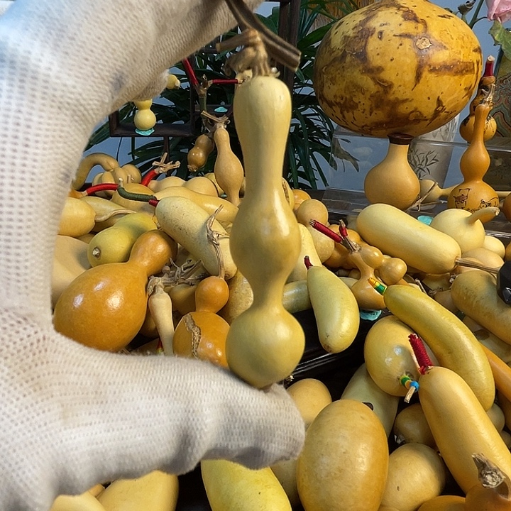 逆***鳞藤手把葫芦精品系列28