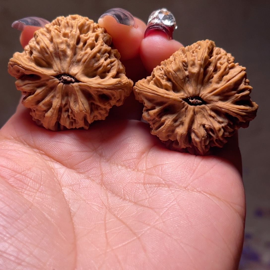 文玩核桃把件团****宇南疆