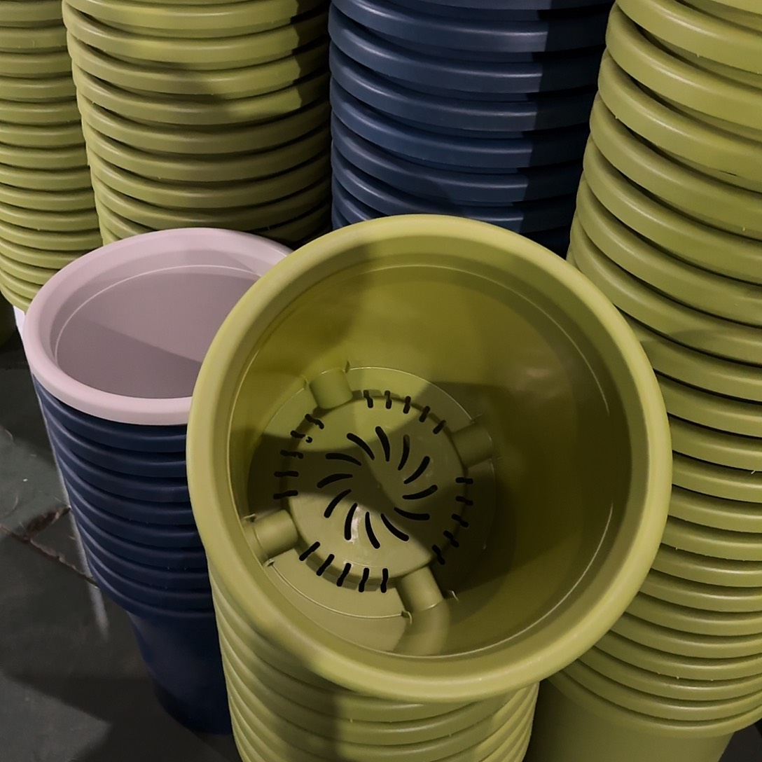 树脂四季7号无托6个果绿微瑕