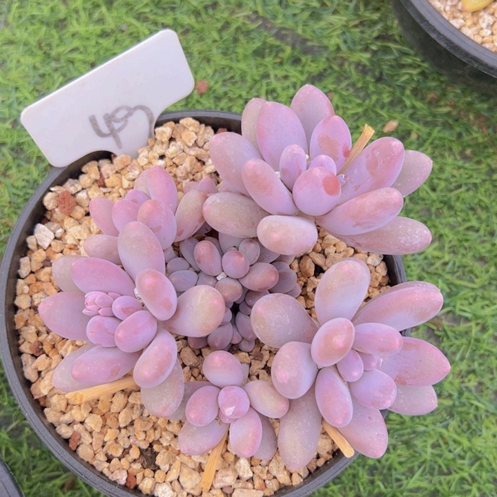 健健康康平平安安