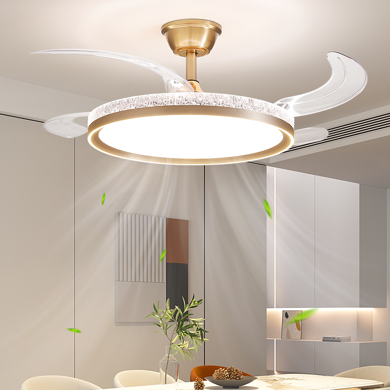 9216-三色变光+离线语音+6挡变频