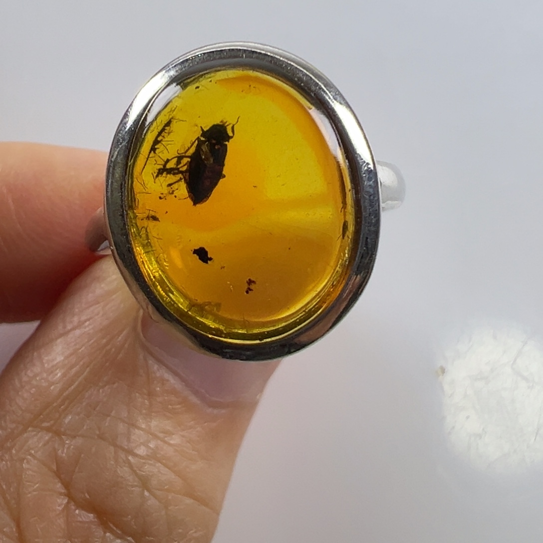 裸石琥珀未镶嵌琥珀虫珀