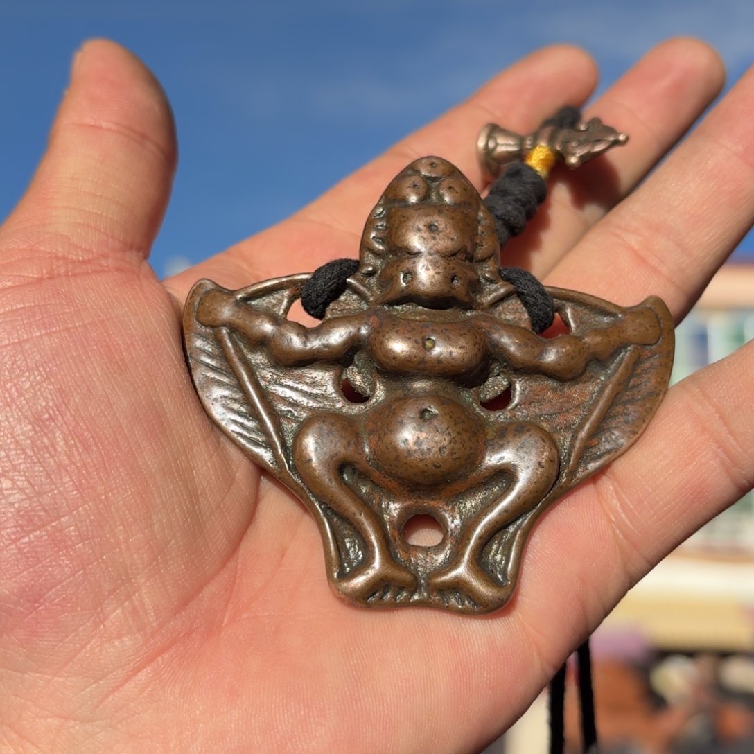 大鹏鸟喜欢带回家