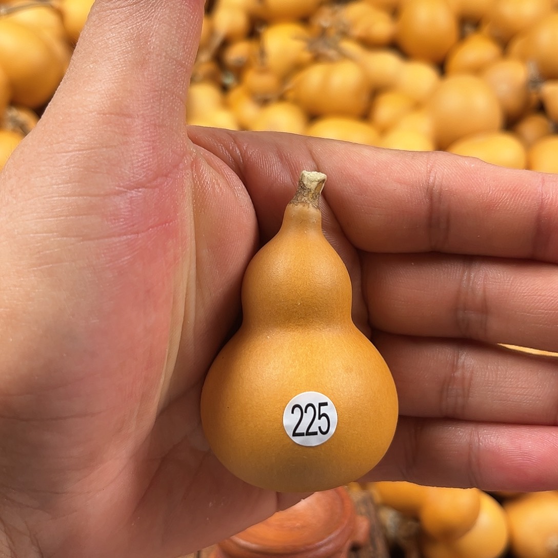 一葫芦葫芦葫芦葫芦225