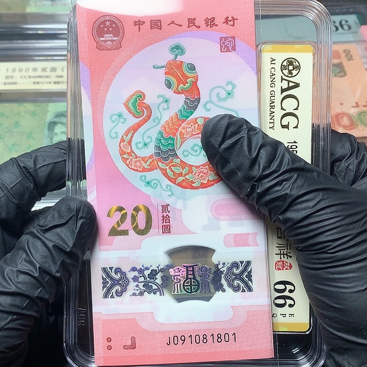 蛇年纪念钞原厂原封
