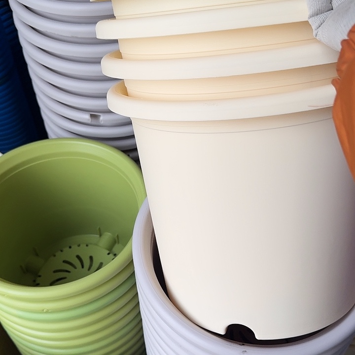 瑕疵6#口径32米黄10个无托