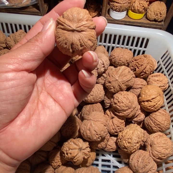 问***林核桃元宝兔子尺寸39全品