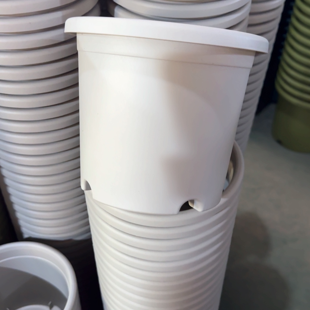 树脂特价2#无拖灰白13个