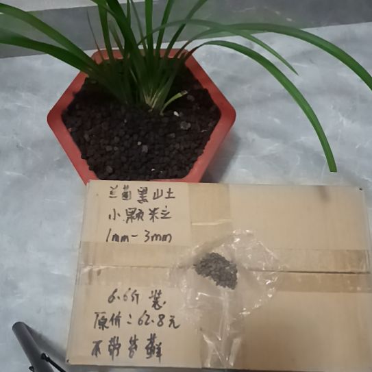 夏***冰兰菌黑山土小颗粒6.6斤