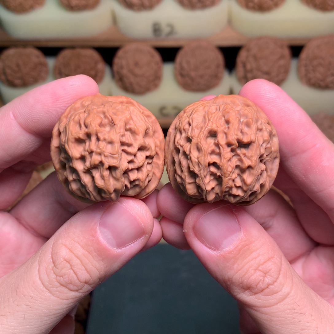 吊坠文玩核桃35太行雪狮全品