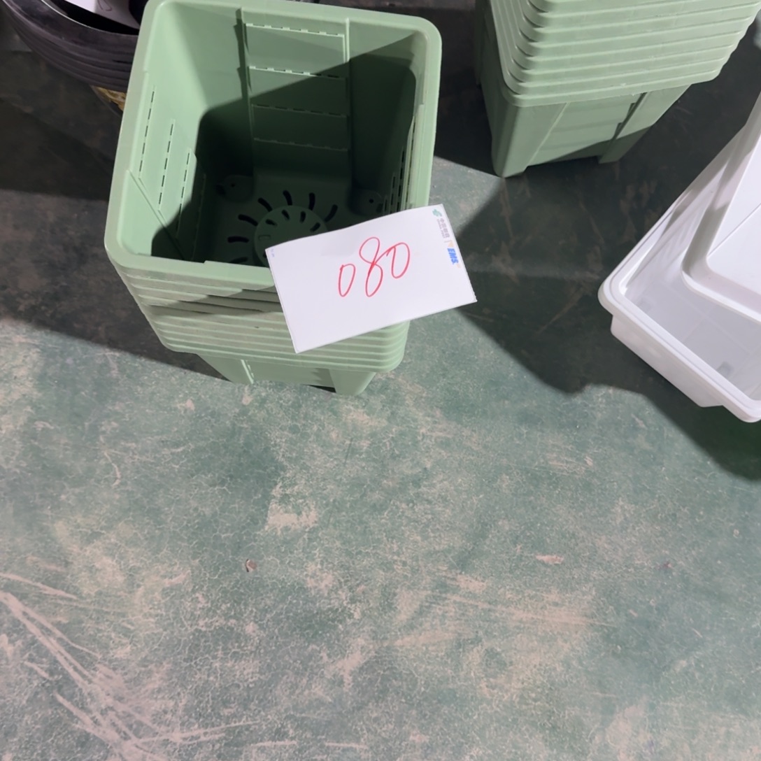 编号是80号的080号的