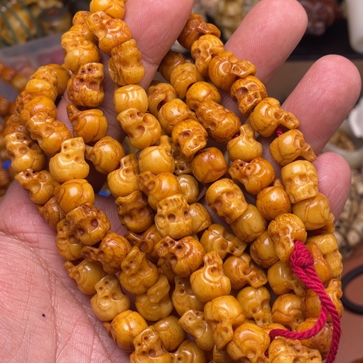 驼骨其他人工养殖