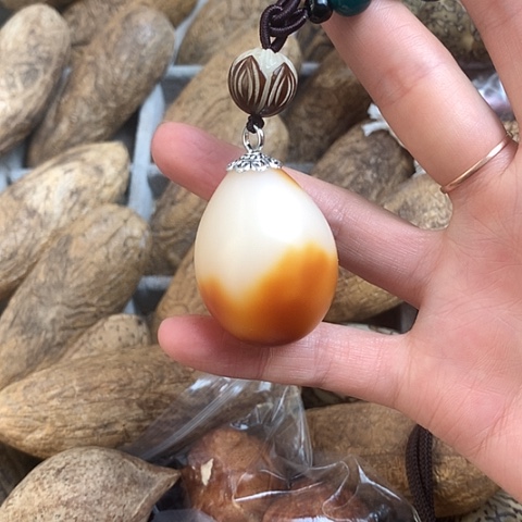 椰蒂吊坠蔡*～佛心果金包玉