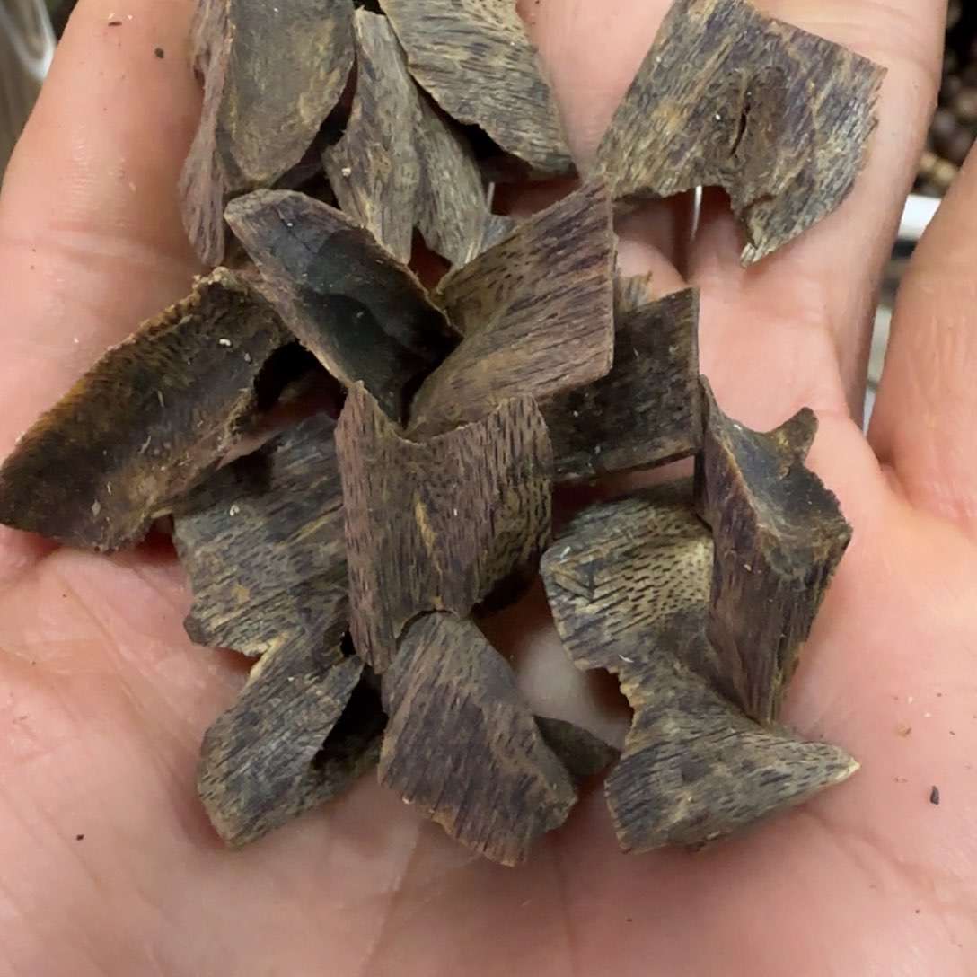 沉香木摆件?****?海南棋楠沉香沉水块料10.5