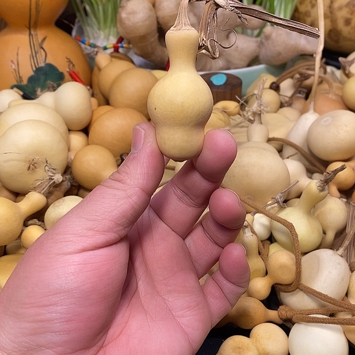 小***鸿精品葫芦手把葫芦34