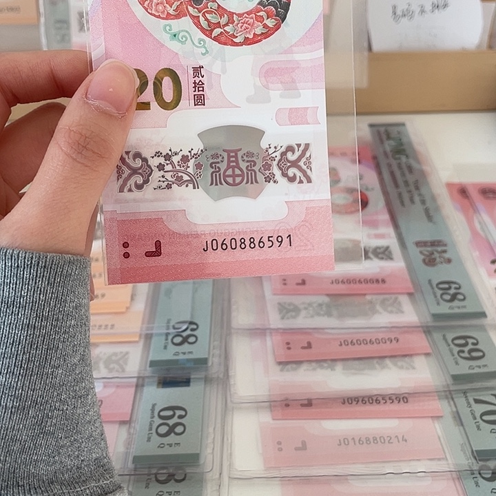 塑料蛇钞-6591——————-