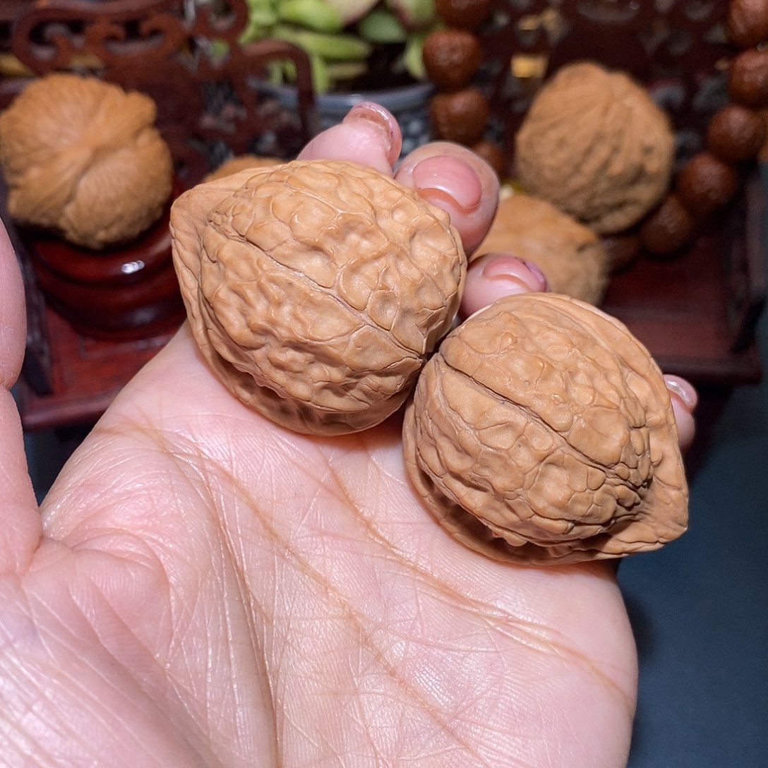 文玩核桃把件龟甲36.5