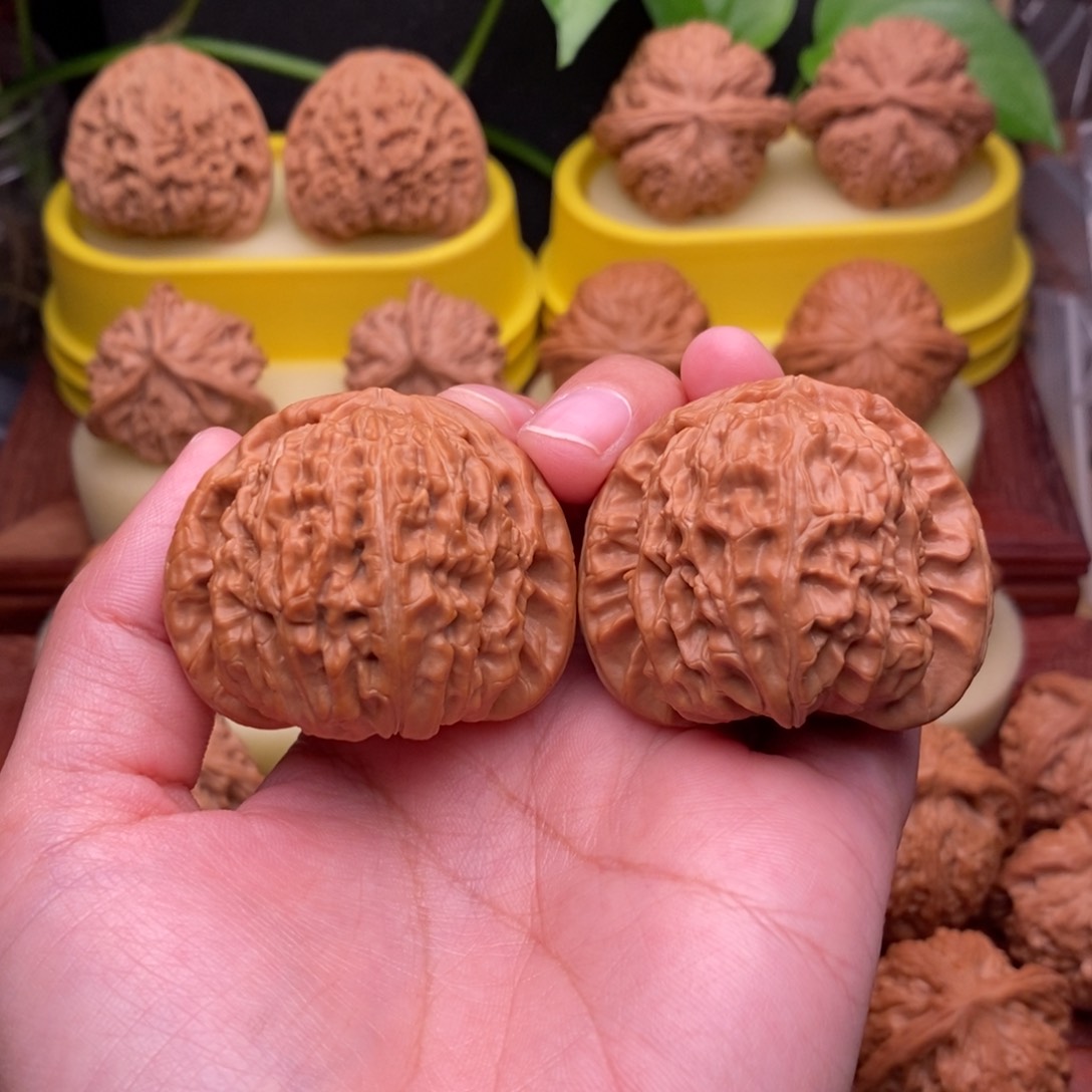 把件文玩核桃、*木44“毕业”大球白