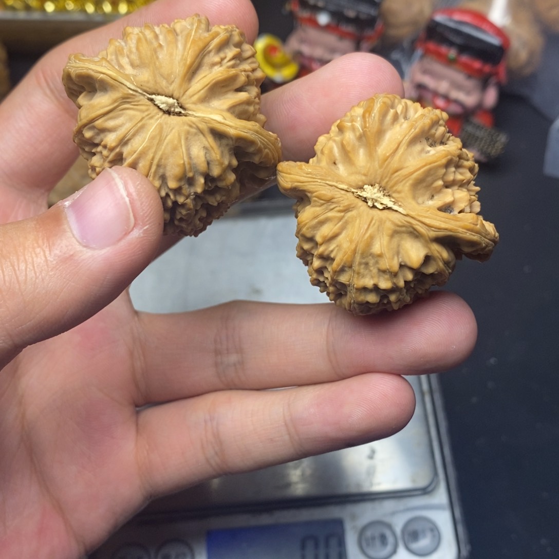 吊坠文玩核桃40白狮