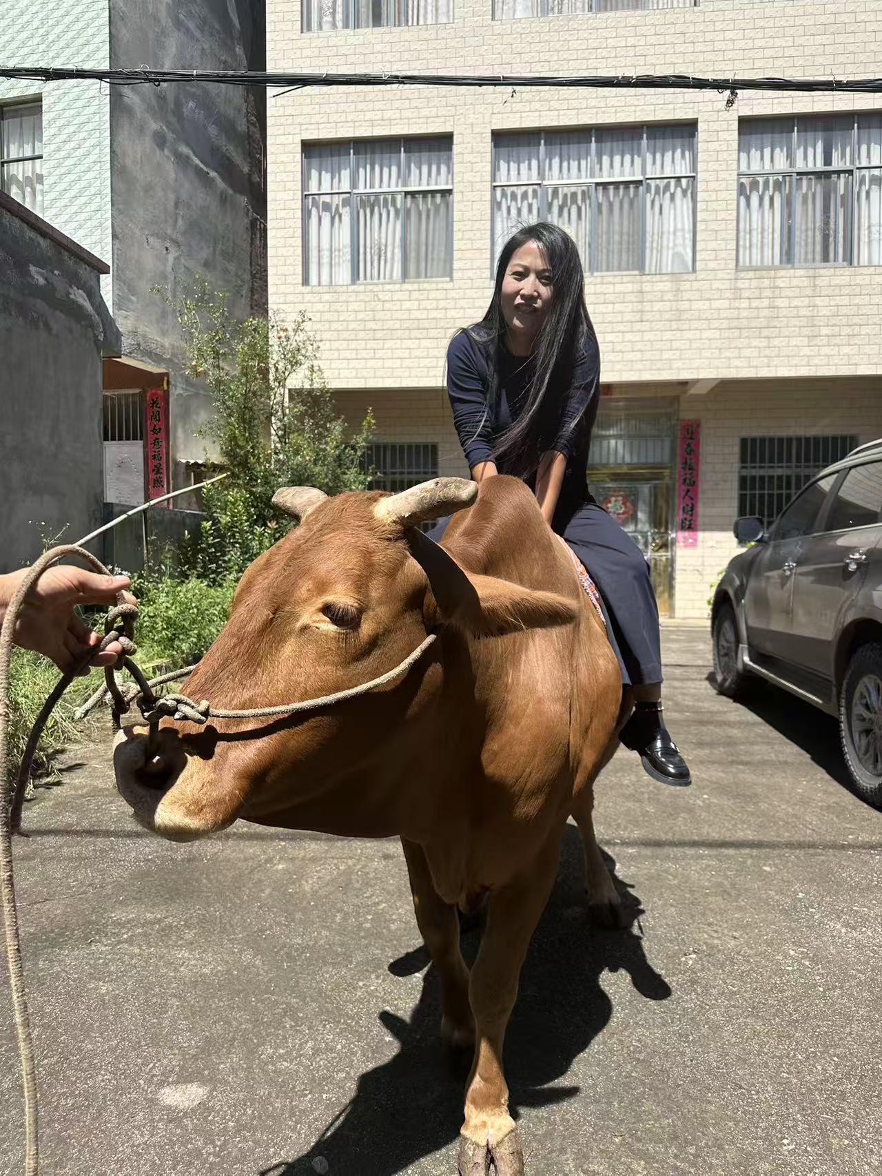 翠花家【土牛肉】【土羊肉】·鲜肉，直播链接，送羊血