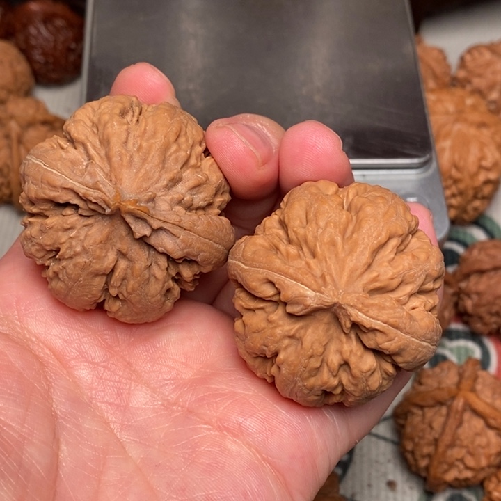 诗***方文玩核桃吊坠霸王龙43