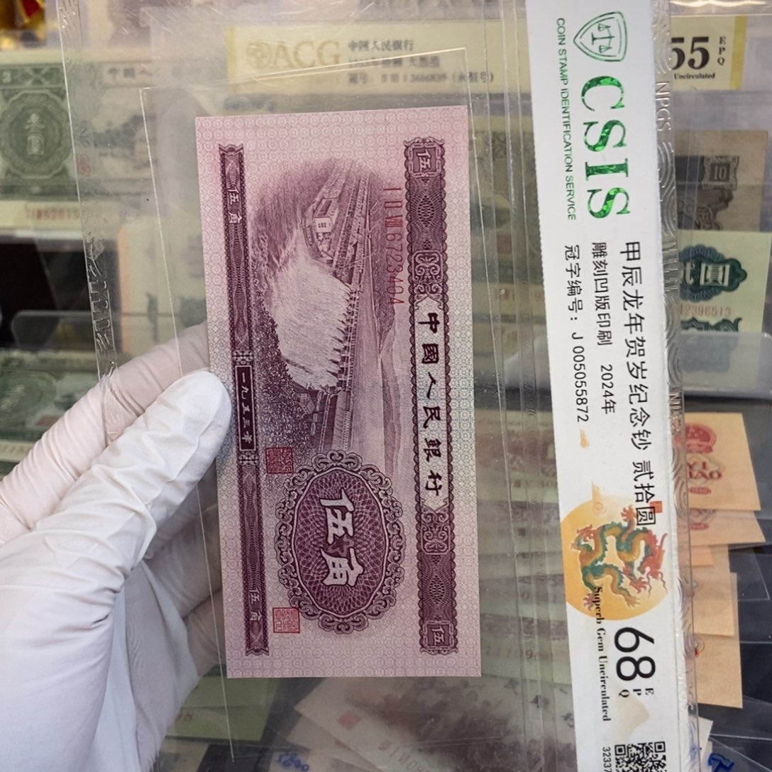 浅水404………………………………