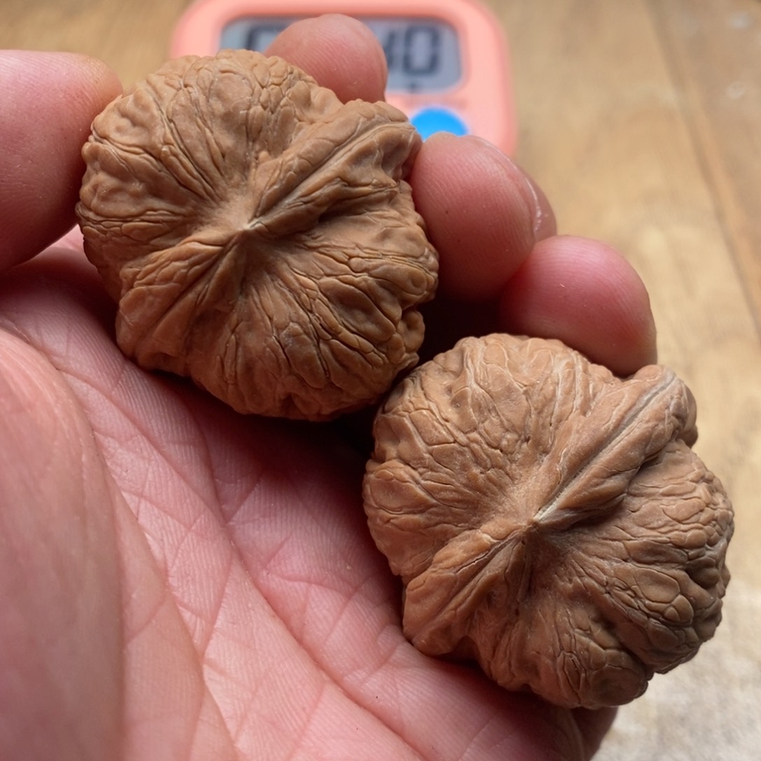 文玩核桃吊坠婧***.元宝