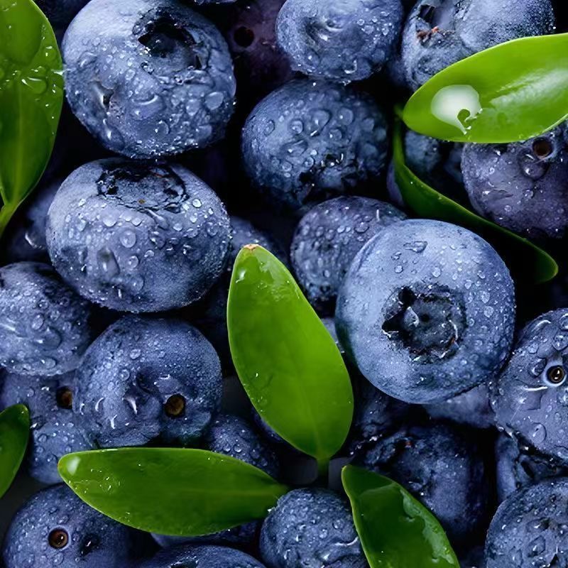 现货【今天拍明天到】云南高山花香蓝莓新鲜头茬果宝宝孕妇脆甜现摘云南省